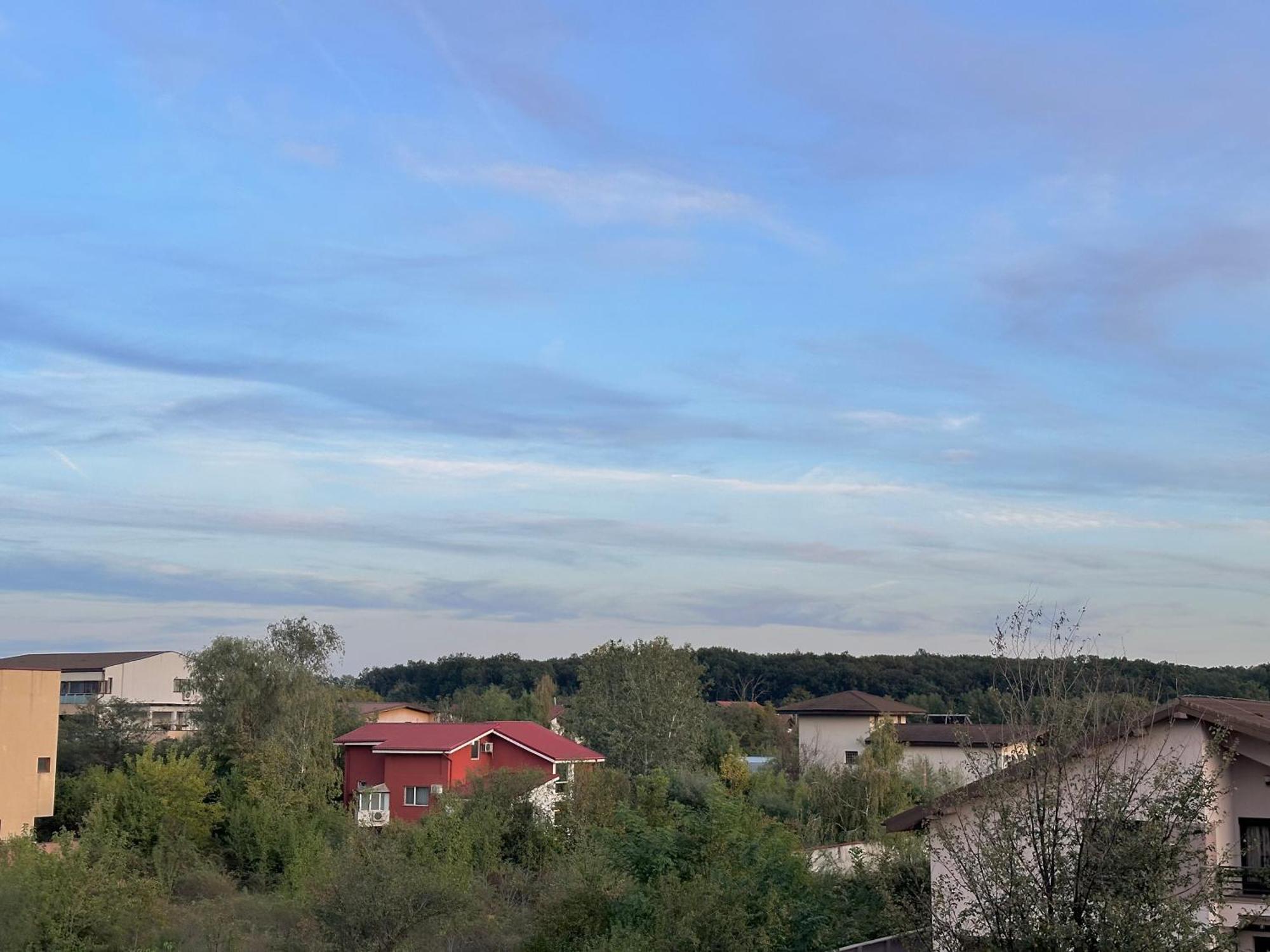 Life, Forest Vibes Appartamento Bucarest